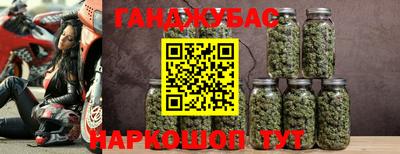 молекула духа Партизанск